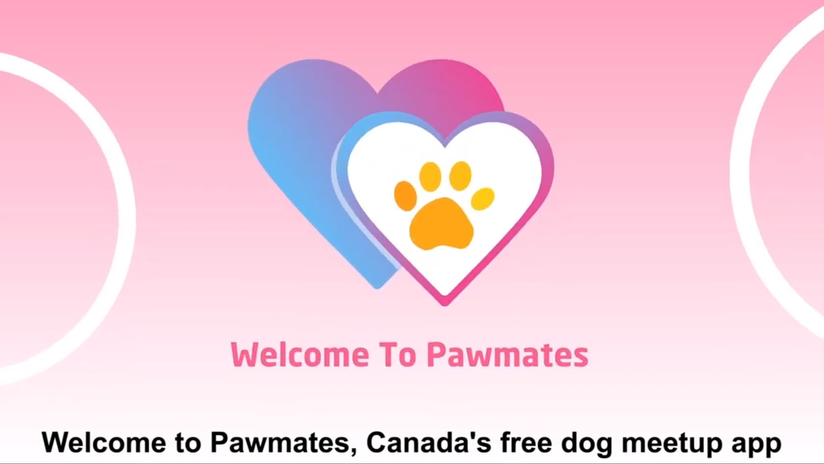 Pawmates Introduction Video App